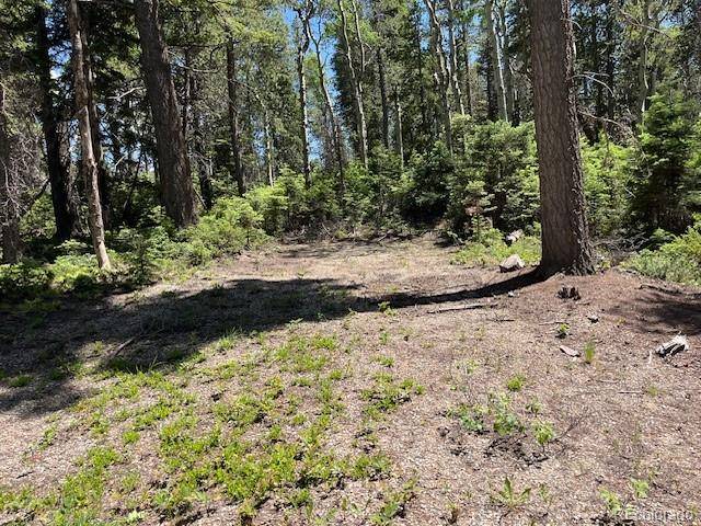 Lot 2449 Petito DR, Fort Garland, CO 81133