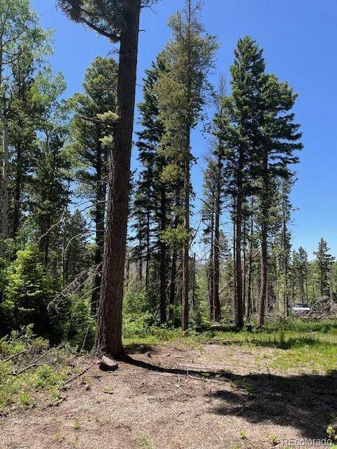 Lot 2449 Petito DR, Fort Garland, CO 81133