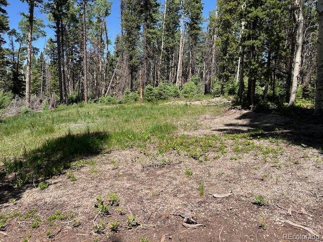 Lot 2449 Petito DR, Fort Garland, CO 81133