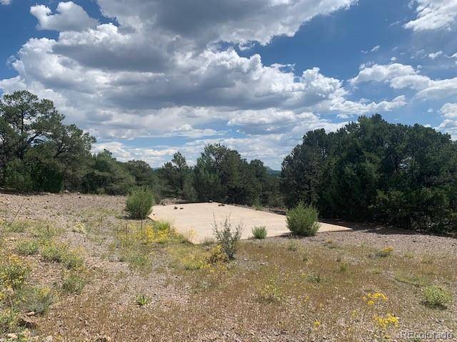188 Looters LN, Westcliffe, CO 81252