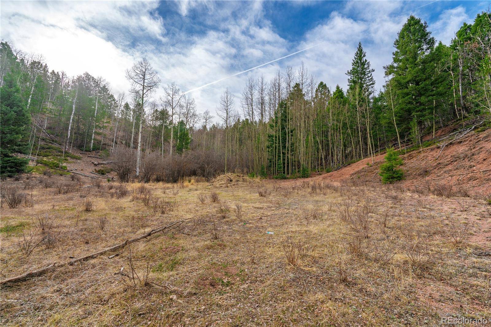 130 Grey Eagle WAY, Cripple Creek, CO 80813