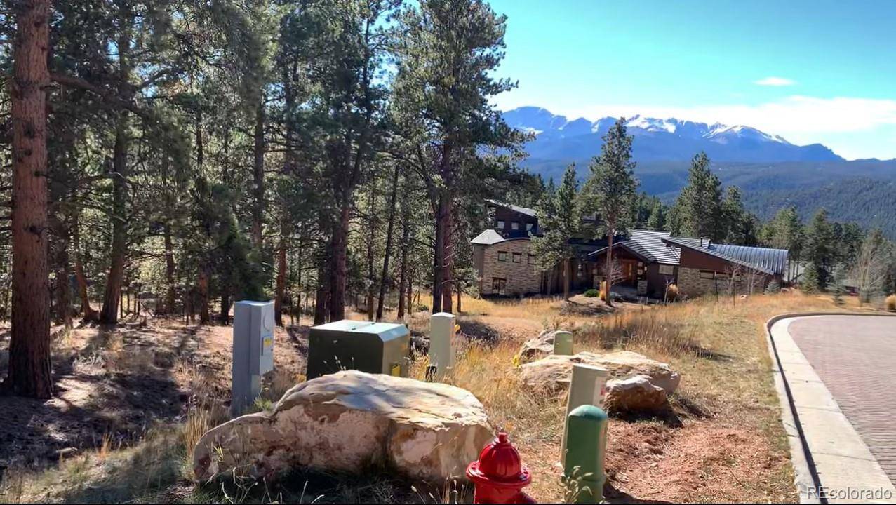 271 Thunder RDG, Woodland Park, CO 80863