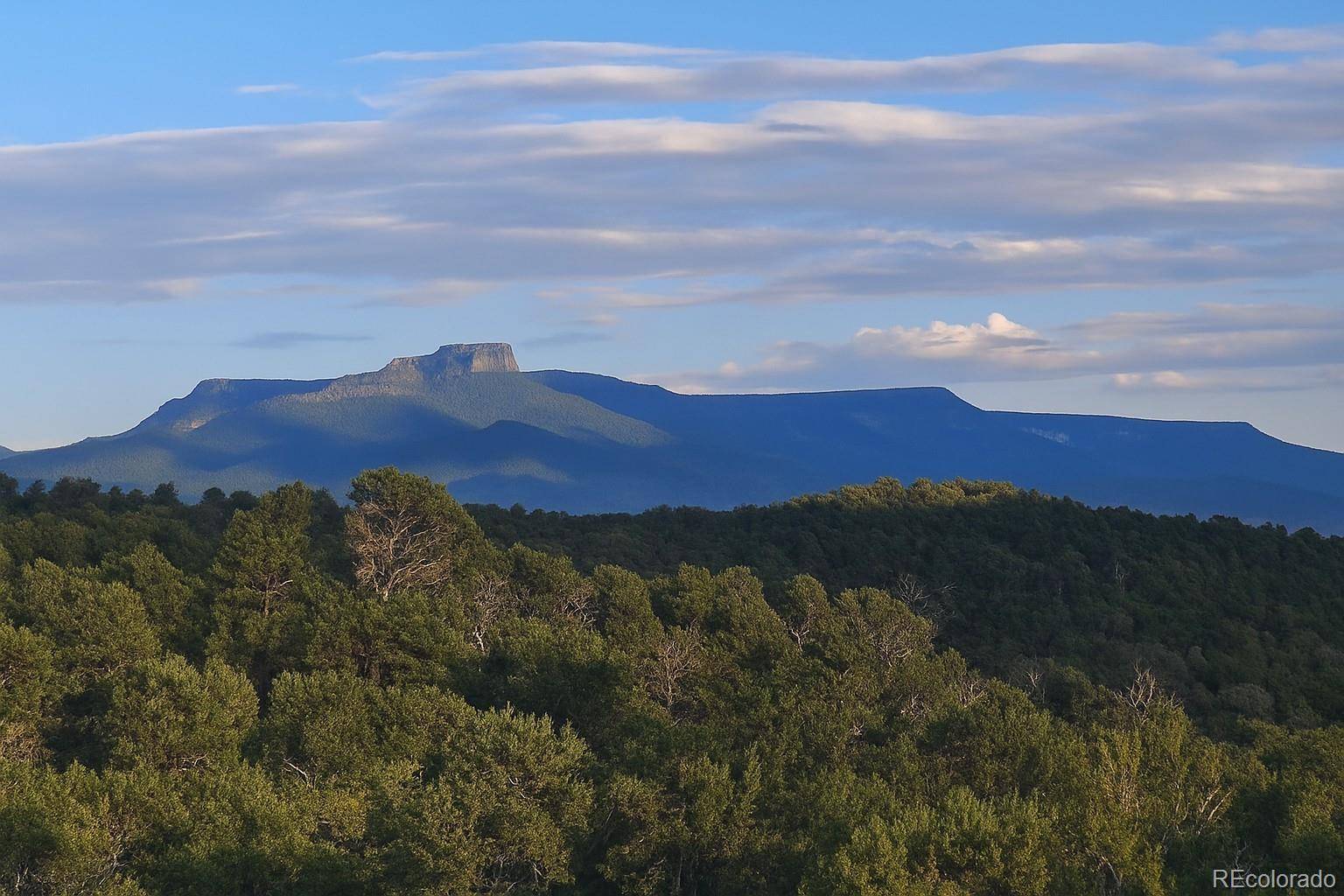 14585 Indian Spring DR, Trinidad, CO 81082