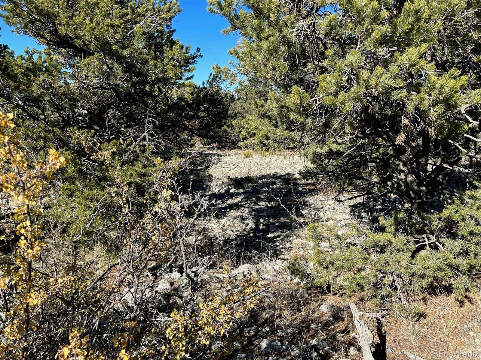 03 Mill Run RD, Mosca, CO 81146