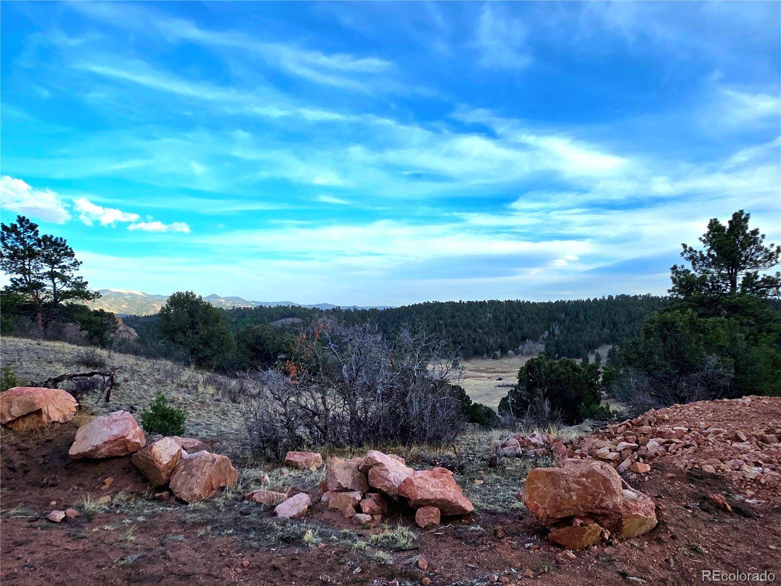 204 Pine RD, Florissant, CO 80816