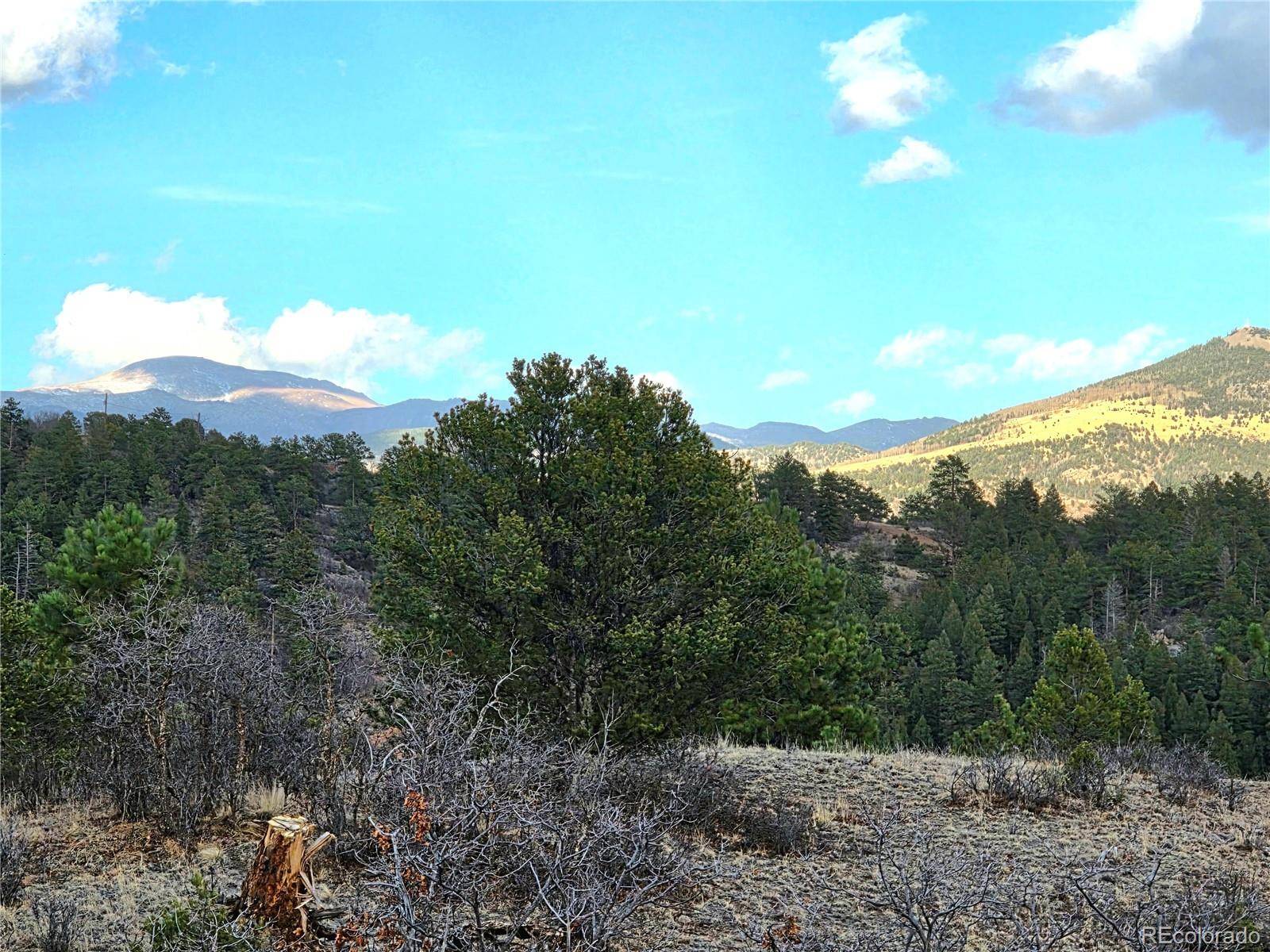204 Pine RD, Florissant, CO 80816