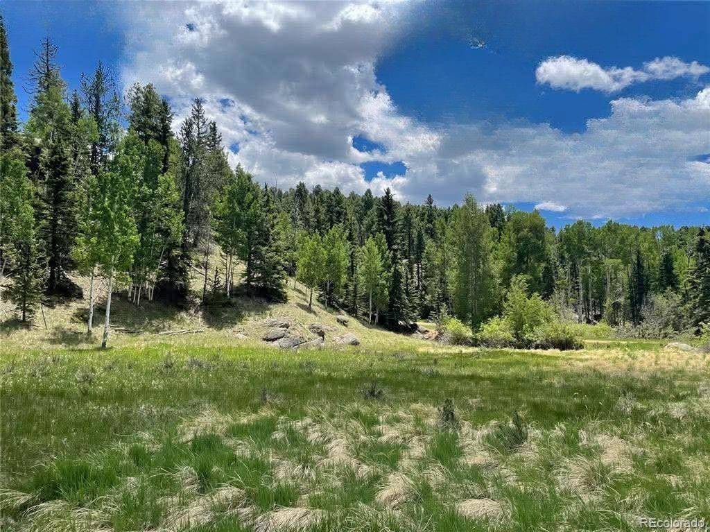 458 Arrowhead RD, Florissant, CO 80816