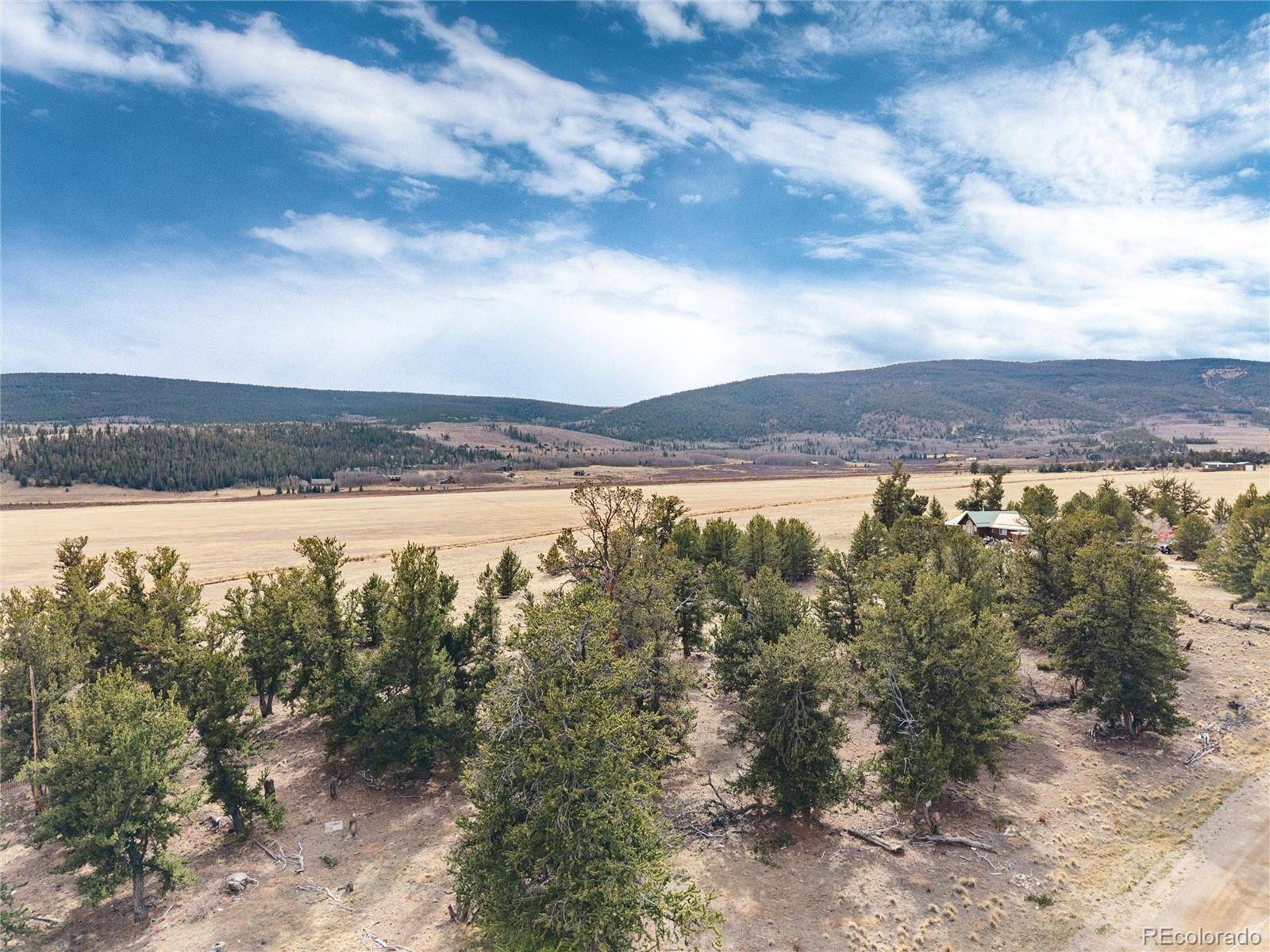 1798 Mullenville RD, Fairplay, CO 80440