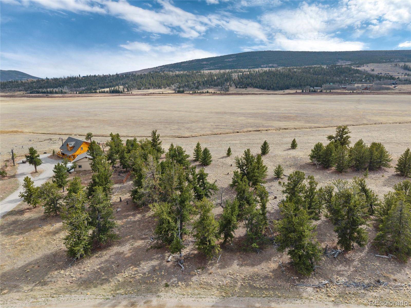 1798 Mullenville RD, Fairplay, CO 80440