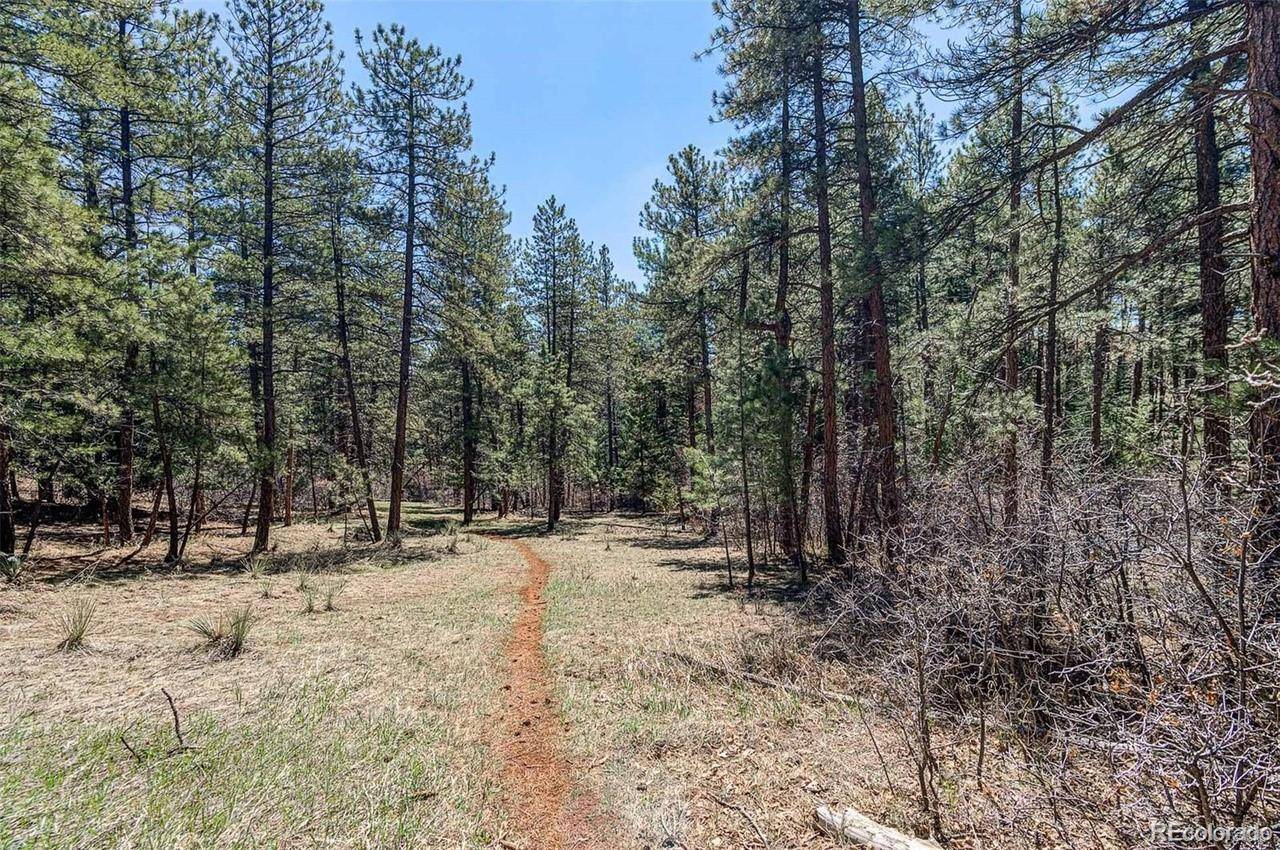 8173 Bannock DR, Larkspur, CO 80118