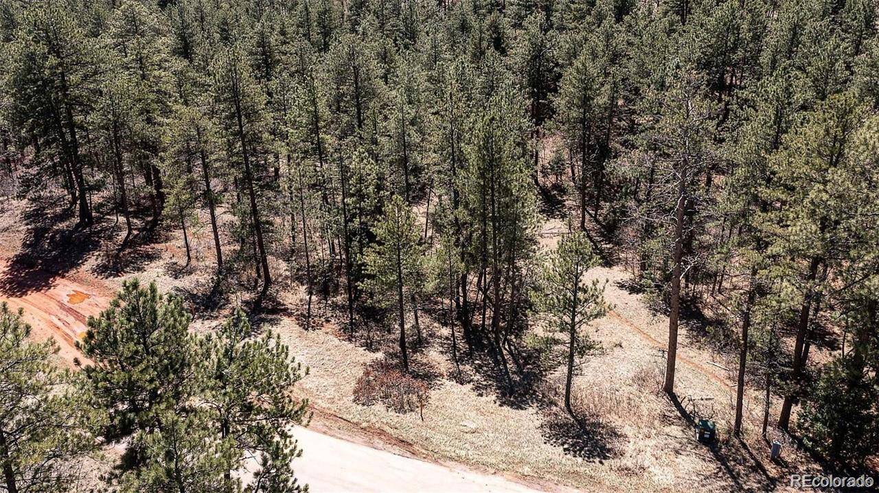 8173 Bannock DR, Larkspur, CO 80118