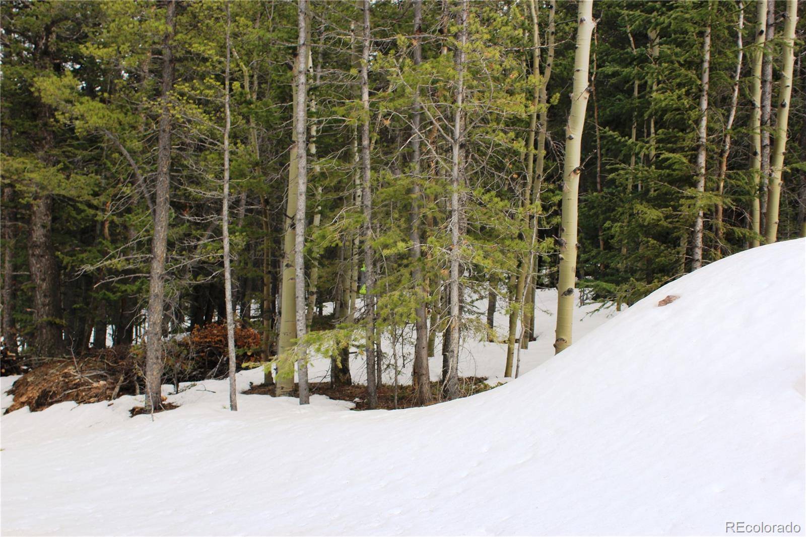 00 Miners Mesa RD, Black Hawk, CO 80422