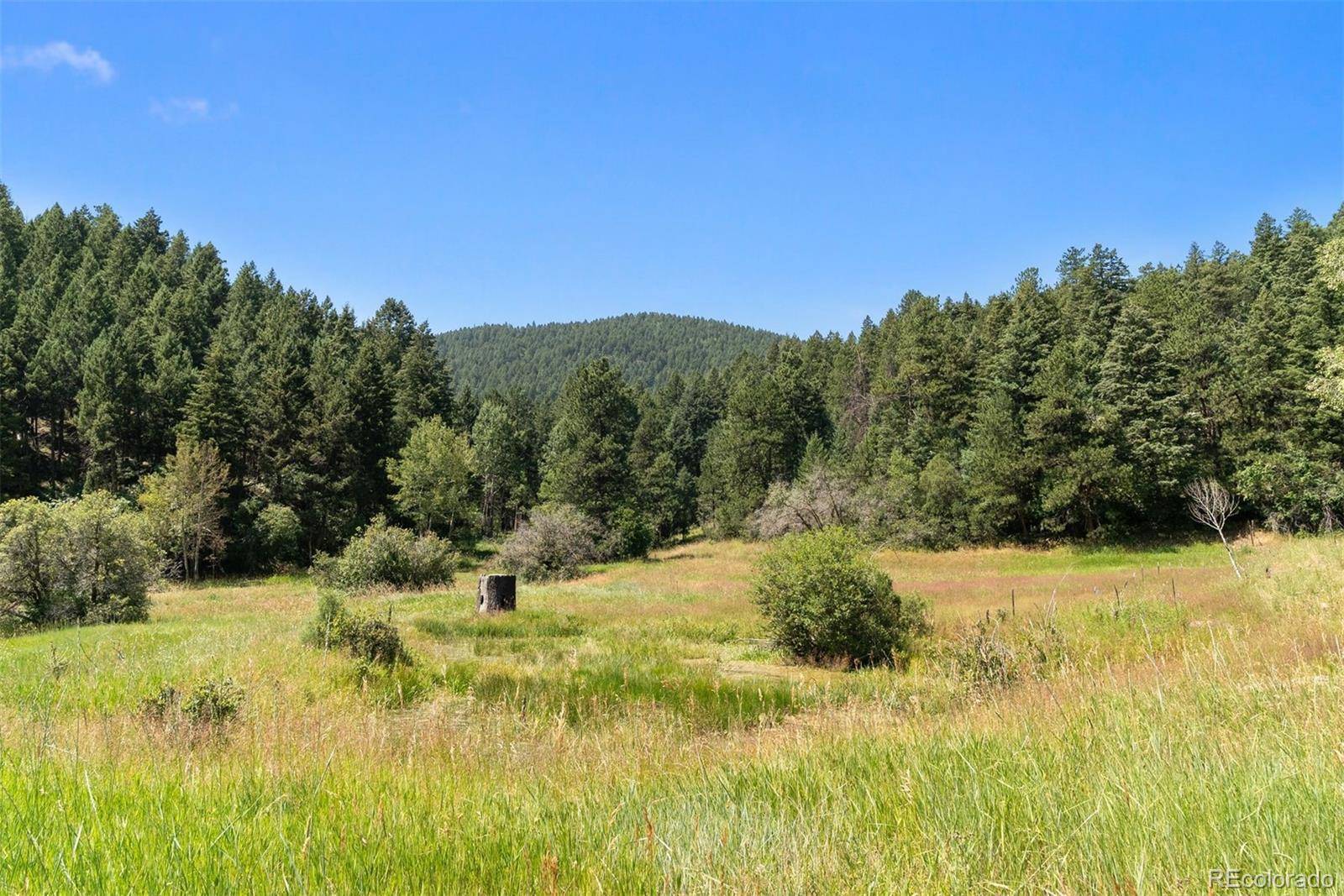 12954 Kuehster RD, Littleton, CO 80127