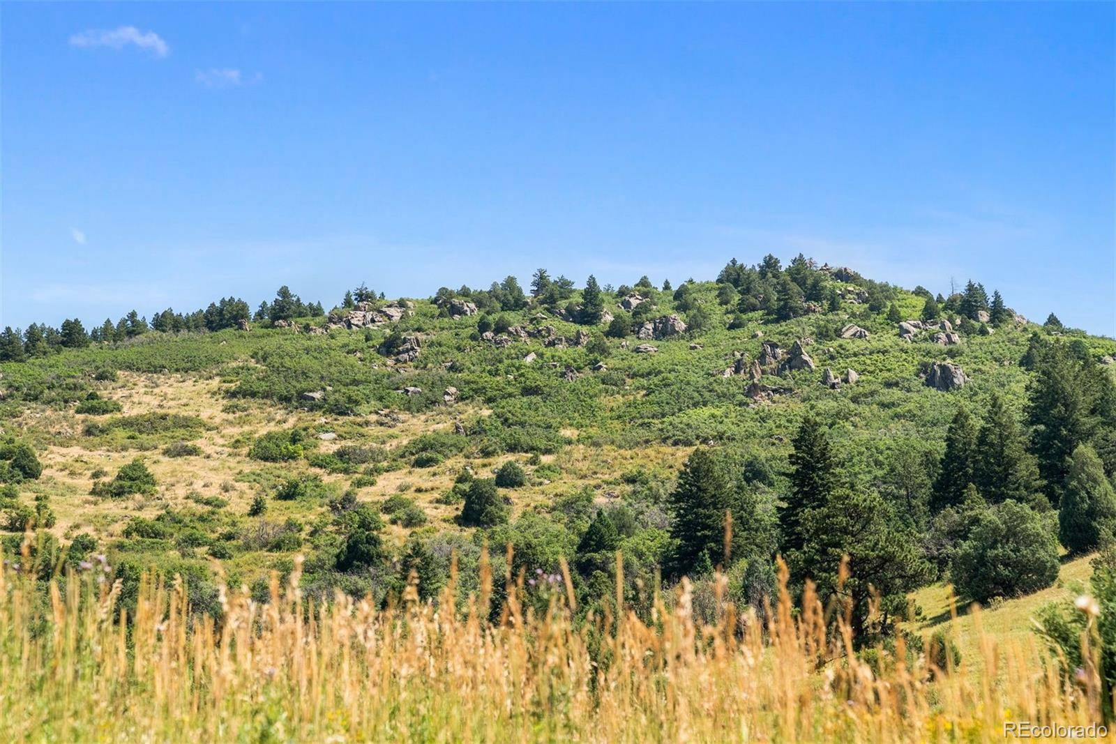 12954 Kuehster RD, Littleton, CO 80127