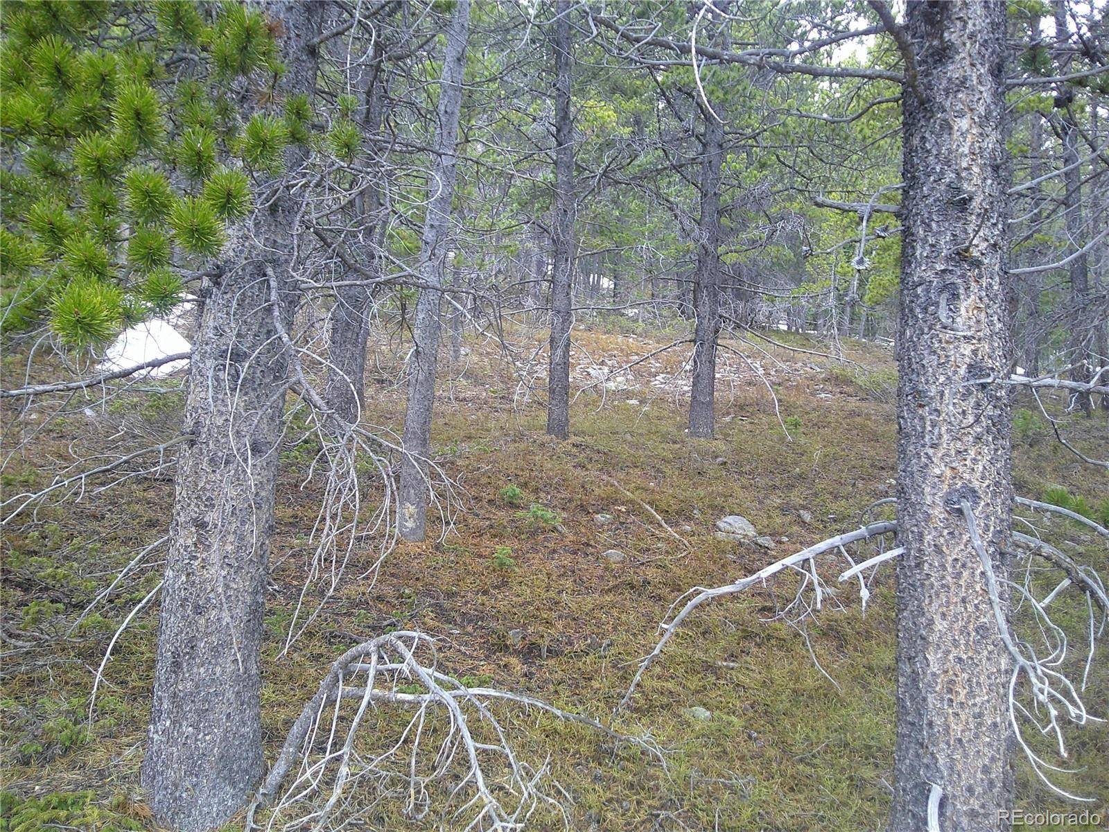 Lot 417 Glory Hole RD, Idaho Springs, CO 80452