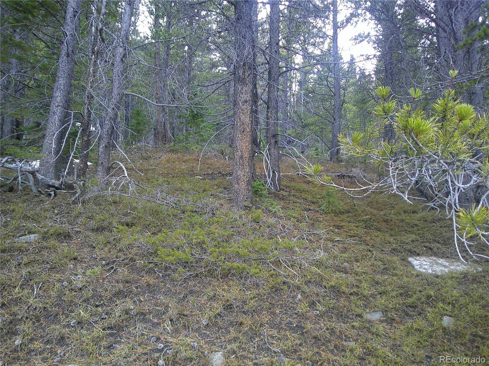 Lot 417 Glory Hole RD, Idaho Springs, CO 80452