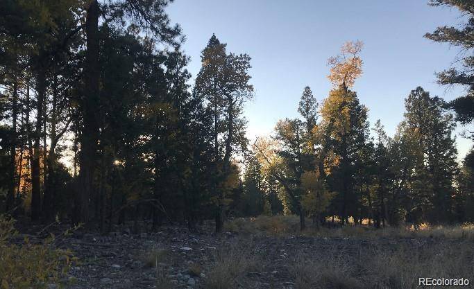 109 Deer RUN, Mosca, CO 81146