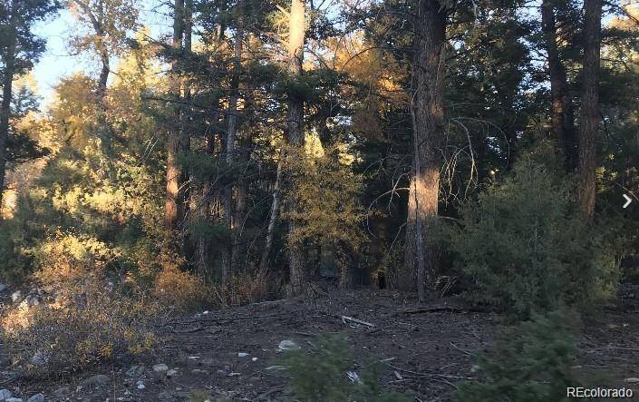 109 Deer RUN, Mosca, CO 81146