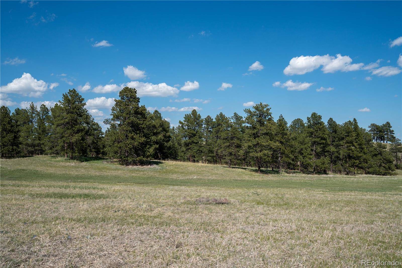 TBD-3 Paradise CIR, Elizabeth, CO 80107
