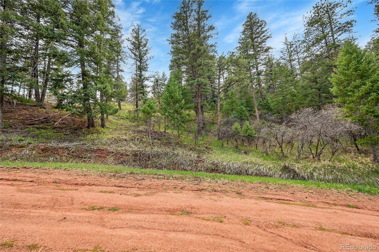 8093 Acoma DR, Larkspur, CO 80118