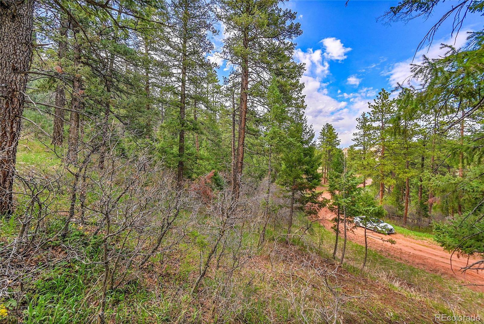 8093 Acoma DR, Larkspur, CO 80118