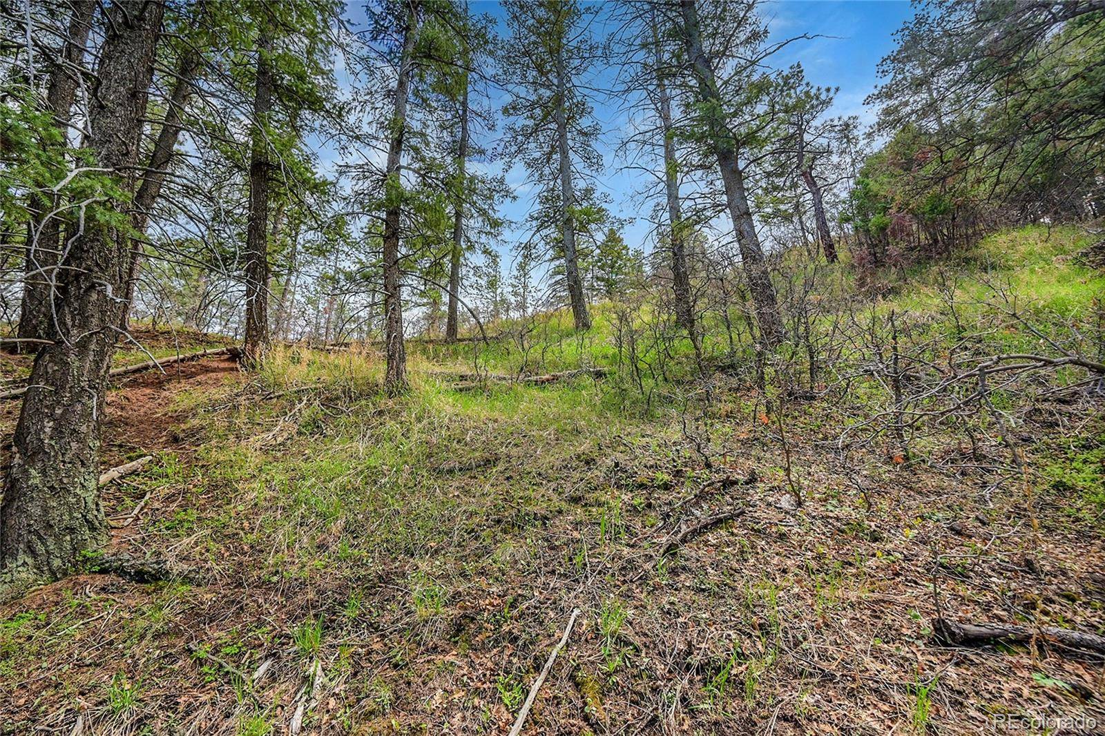 8093 Acoma DR, Larkspur, CO 80118