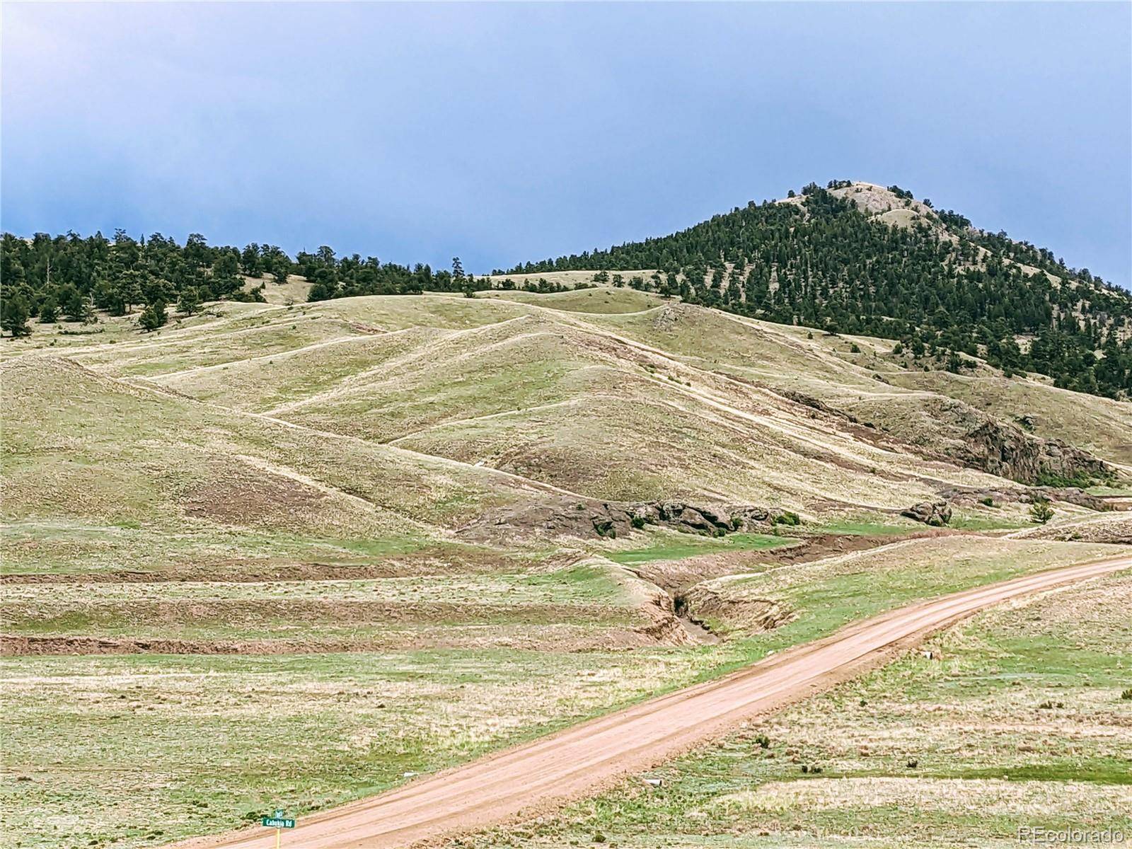00000 Cahokia RD, Hartsel, CO 80449
