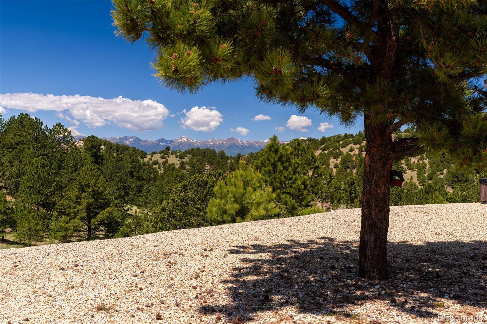 333 Della Fox LN, Westcliffe, CO 81252