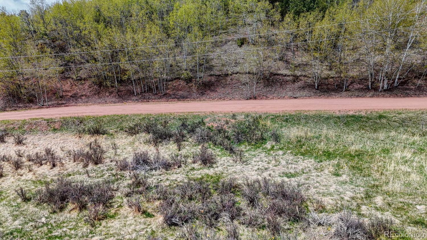 2031 Gold King DR, Cripple Creek, CO 80813