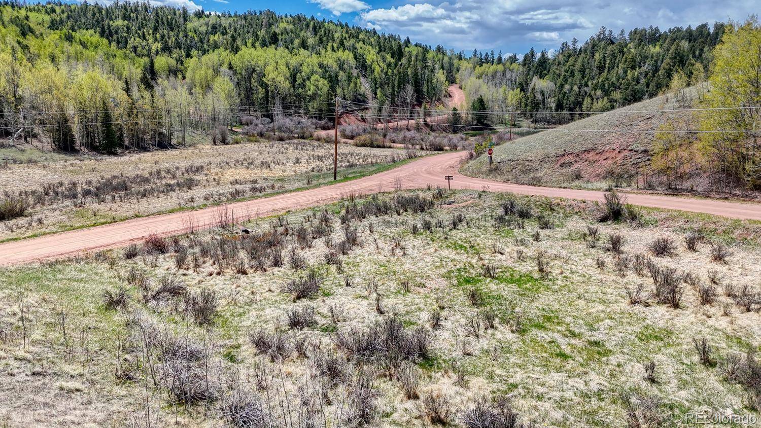 2031 Gold King DR, Cripple Creek, CO 80813