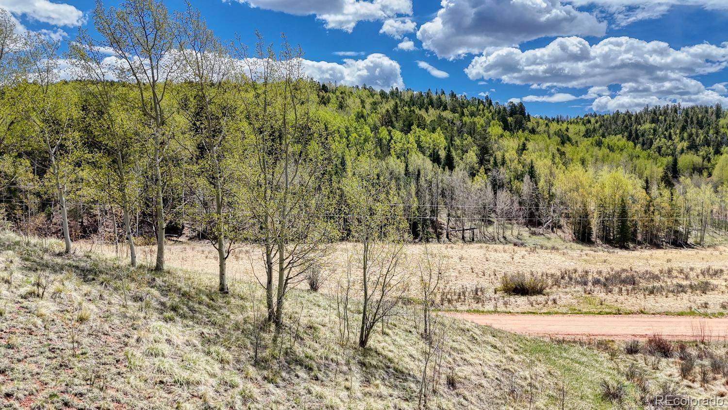 2031 Gold King DR, Cripple Creek, CO 80813