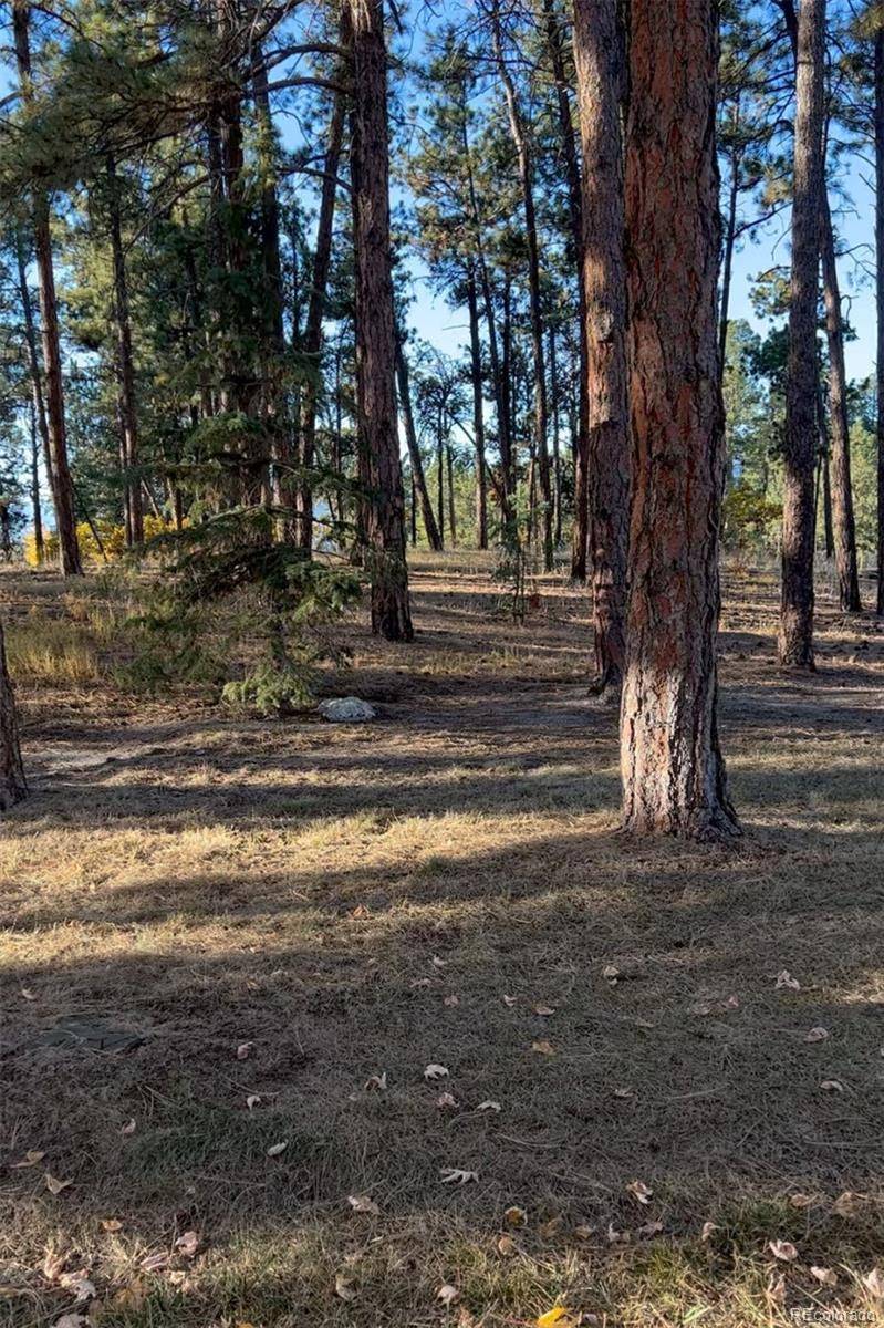 Rancho Escondido Lot 23C, Weston, CO 81091