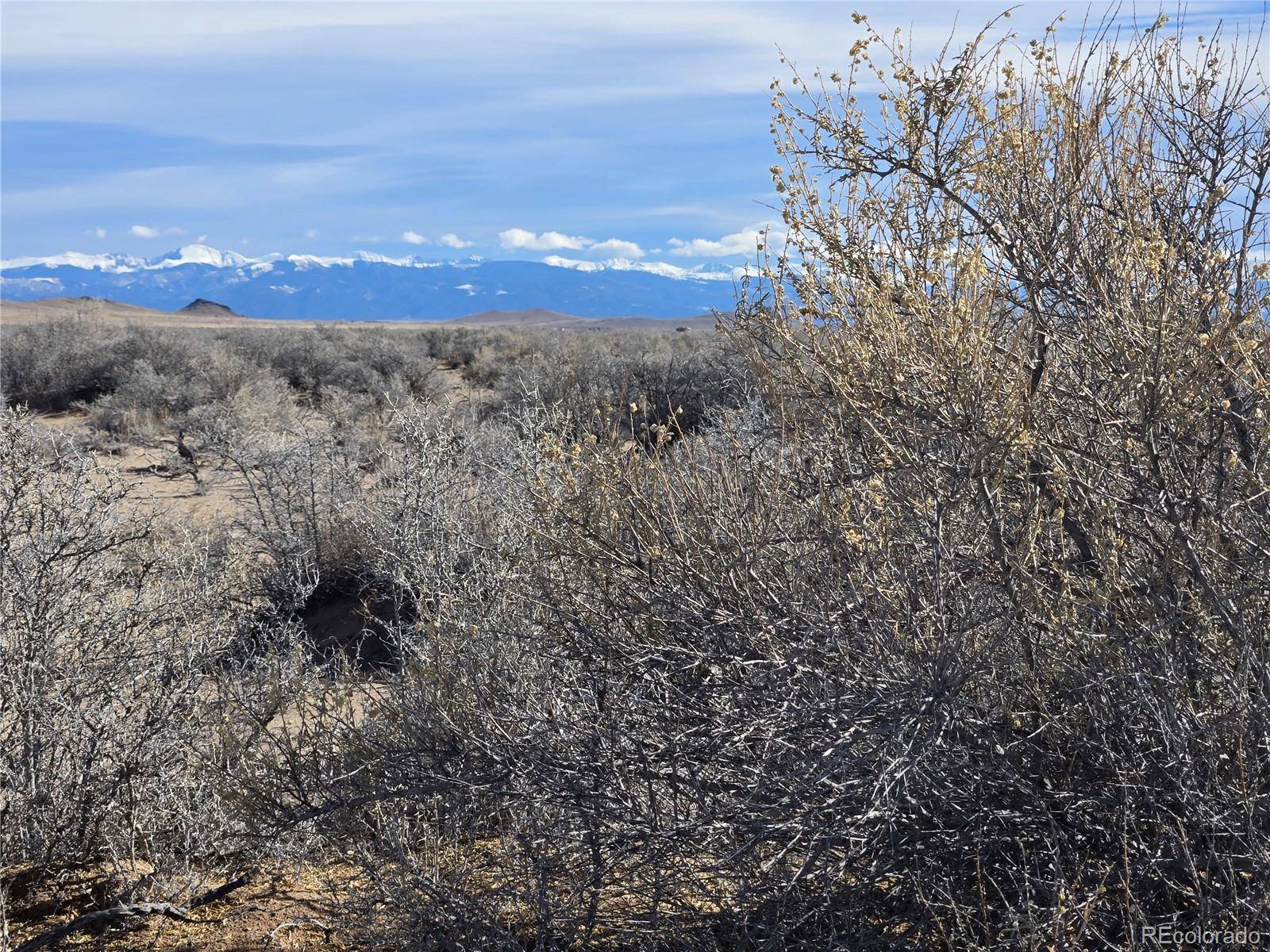 Lot 9 Eureka, Blanca, CO 81123