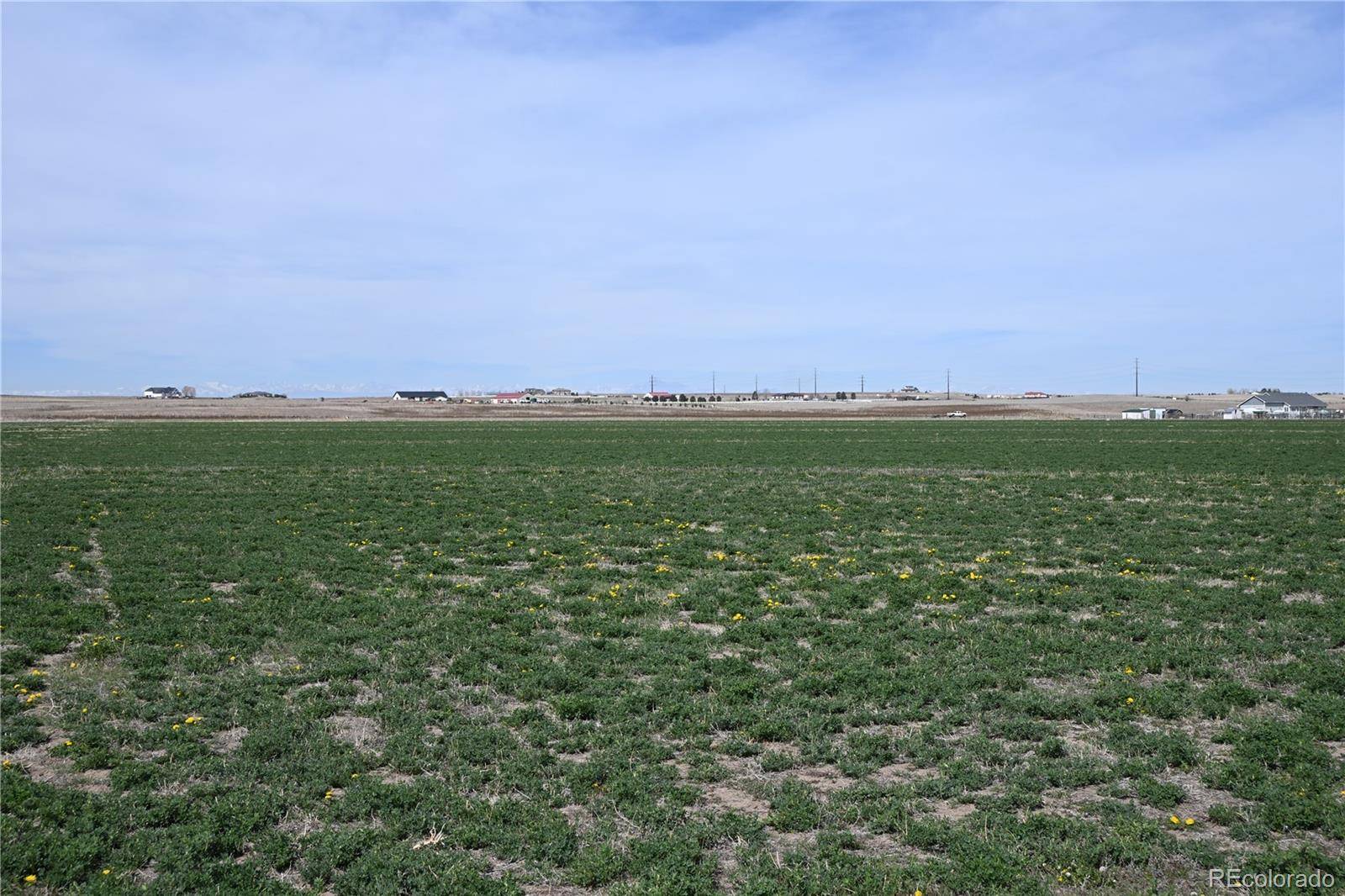 13955 Lanewood ST, Brighton, CO 80603