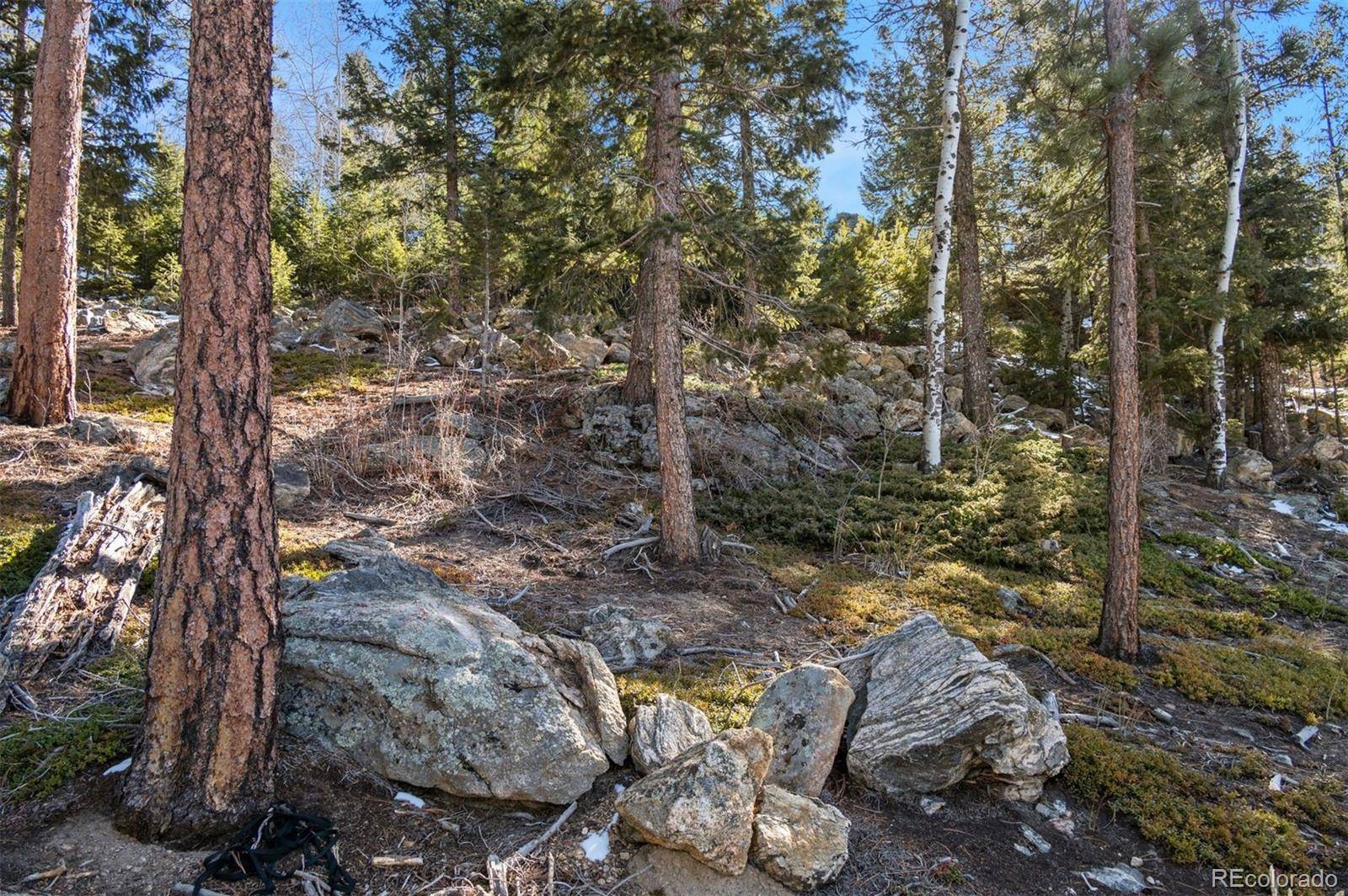 Granite Crag CIR, Evergreen, CO 80439