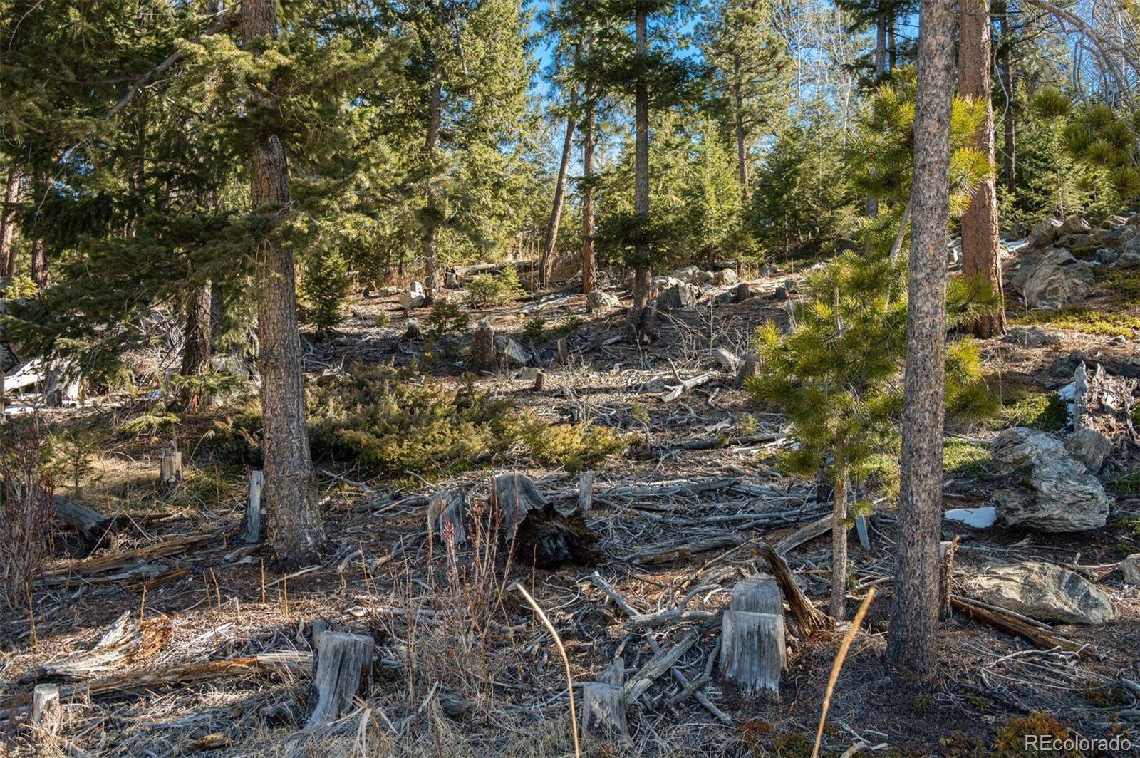 Granite Crag CIR, Evergreen, CO 80439