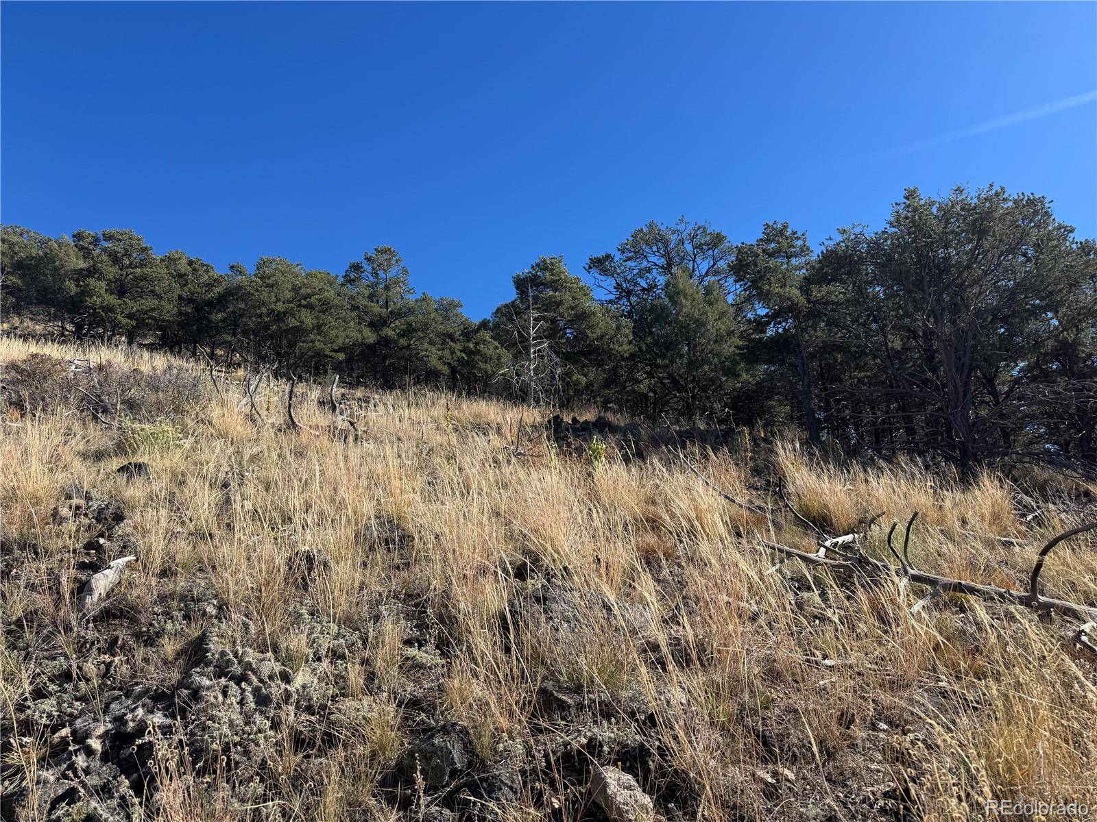 0 G PATH, Cotopaxi, CO 81223
