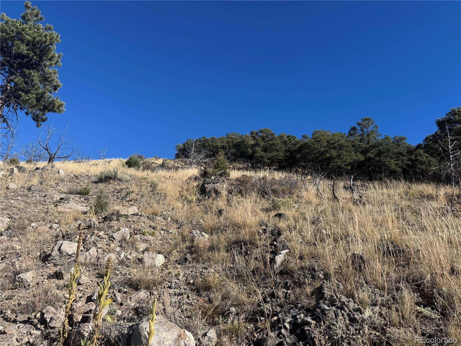 0 G PATH, Cotopaxi, CO 81223