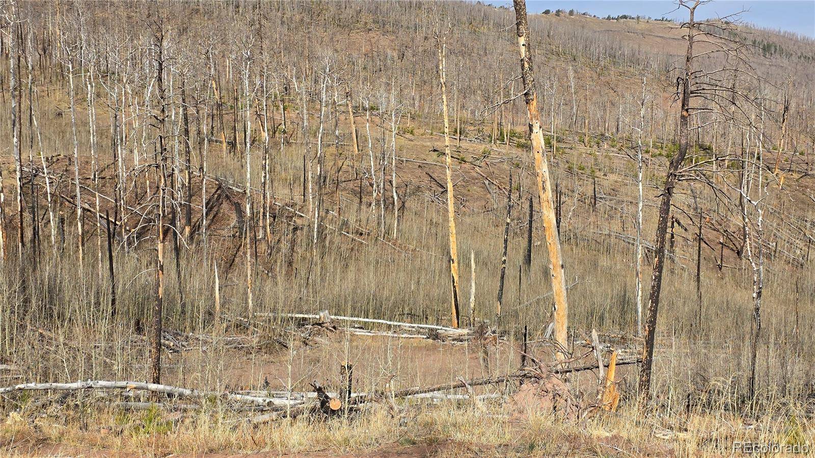 Lot 880 Slaoui PL, Fort Garland, CO 81133