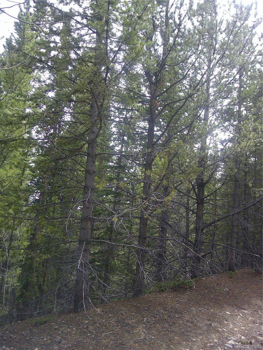 Lot #440 Hillside RD, Idaho Springs, CO 80452
