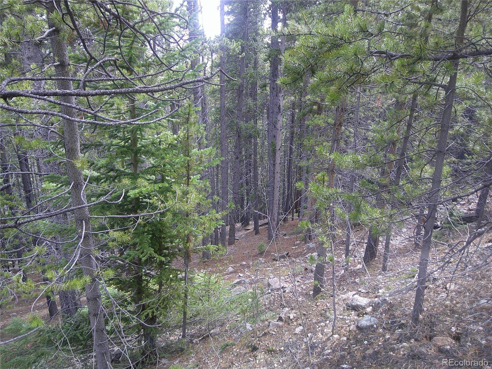 Lot #440 Hillside RD, Idaho Springs, CO 80452
