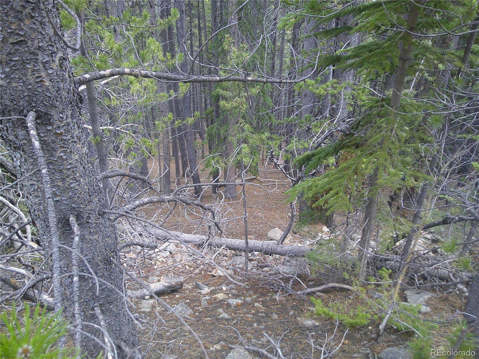 Lot #440 Hillside RD, Idaho Springs, CO 80452