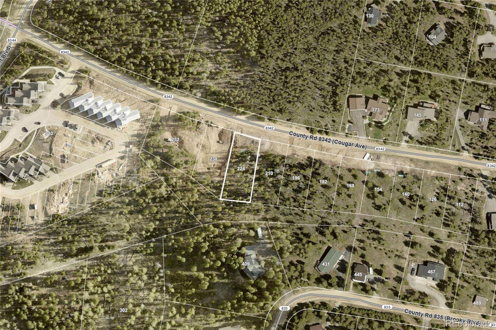 224 County Road 8342, Fraser, CO 80442