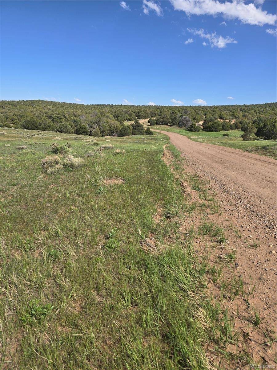 90 River Ridge Ranch, Walsenburg, CO 81089