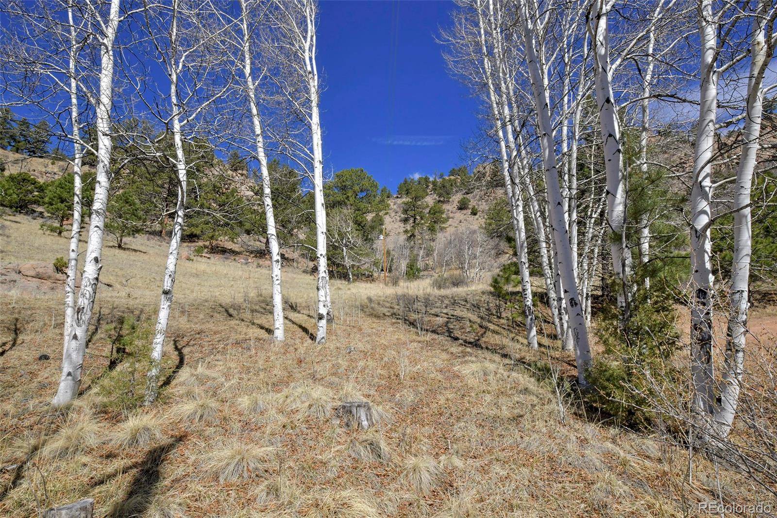 221 Floresta, Florissant, CO 80816