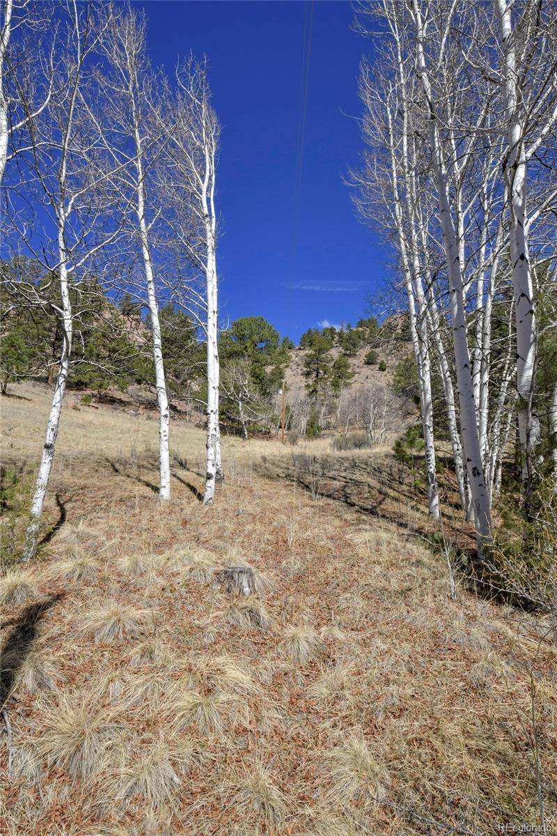 221 Floresta, Florissant, CO 80816