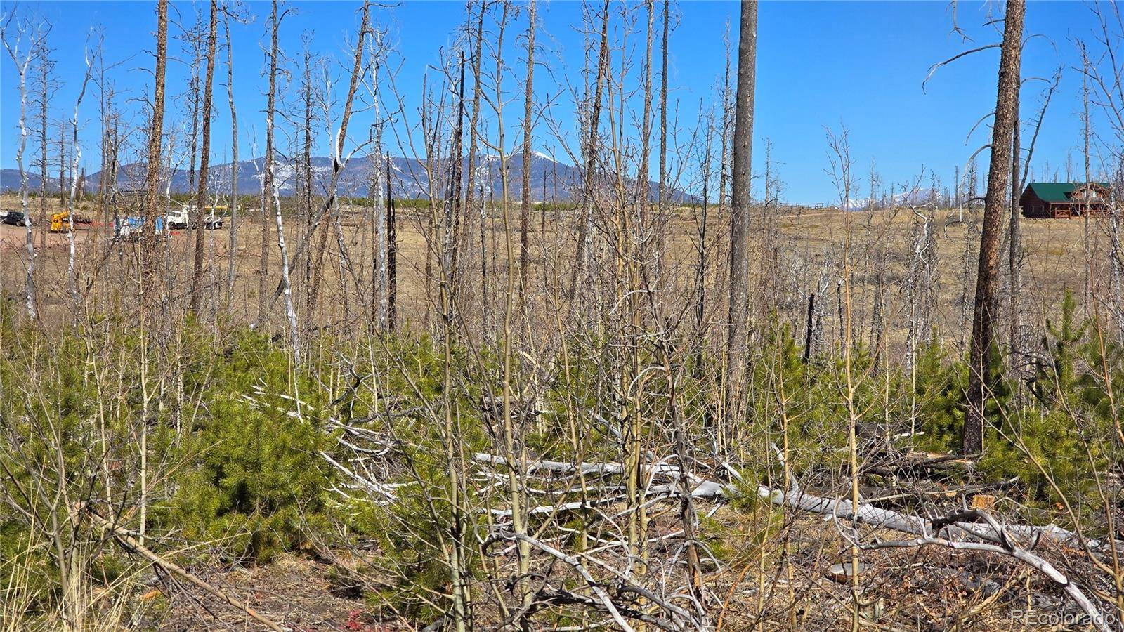 Lot 1460 Von Heyl LN, Fort Garland, CO 81133