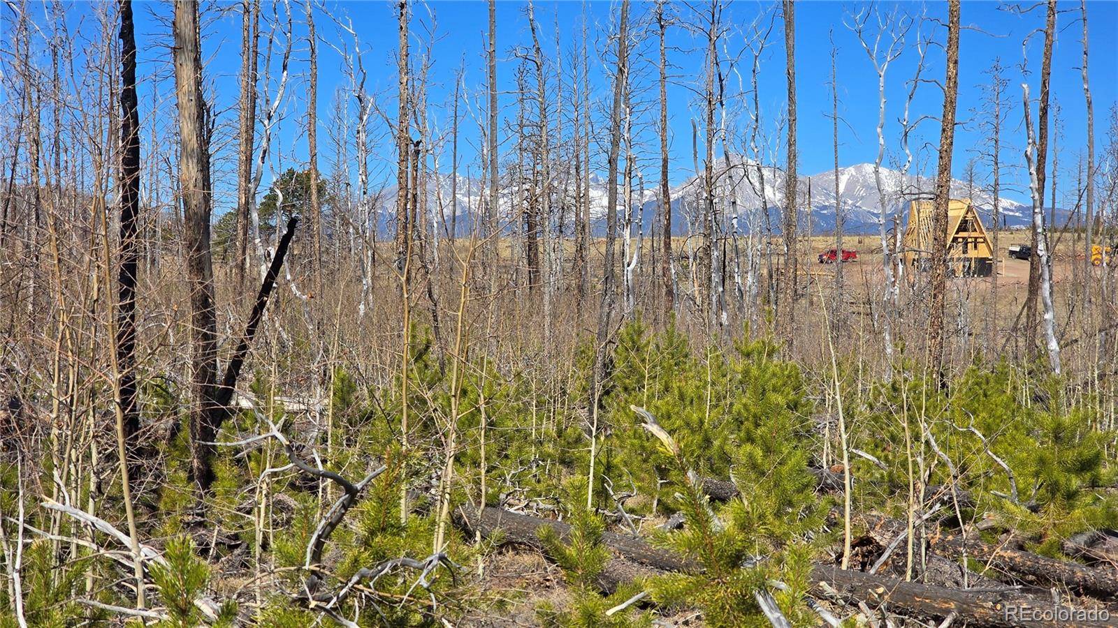Lot 1460 Von Heyl LN, Fort Garland, CO 81133