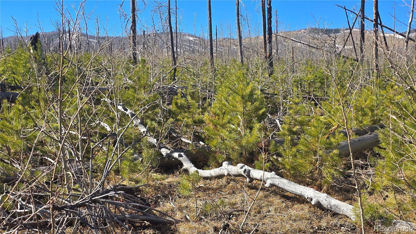 Lot 1460 Von Heyl LN, Fort Garland, CO 81133