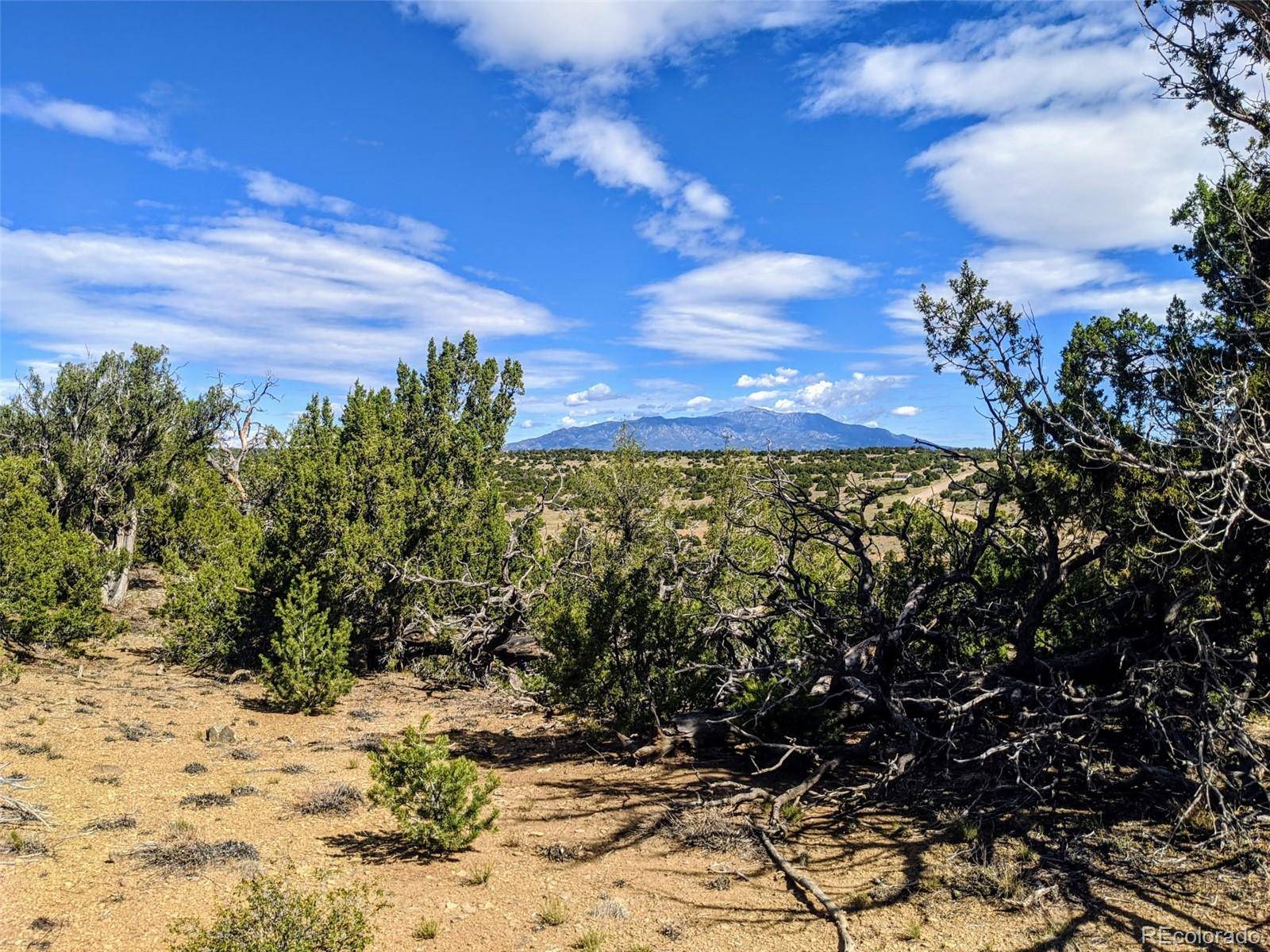 623 Cello Azui DR, Walsenburg, CO 81089